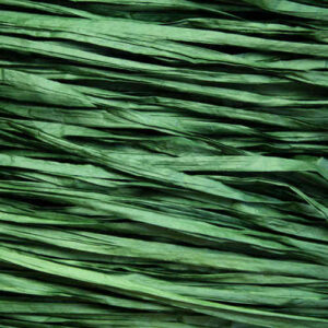Carta pirka piatta verde muschio 15 mt