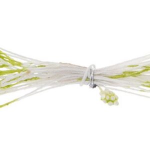 Pistilli mini 144 teste verde chiaro