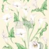 Carta decoupage Calle Stamperia
