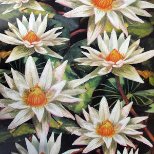 Carta decoupage Ninfee Stamperia