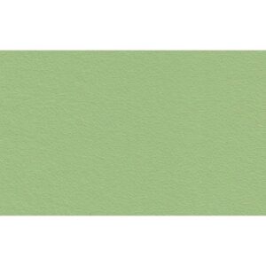 Eco pelle nappa pistacchio Renkalik