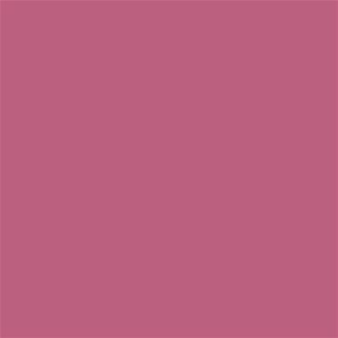 Allegro prugna ml 59 Stamperia - immagine 2
