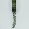 Rotolo 6mt nastro Liva verde H 25mm