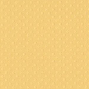 Cartoncino Bazzill Dotted commeal
