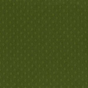 Cartoncino Bazzill Dotted clover leaf