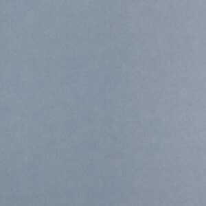 Cartoncino Textura blu delfin
