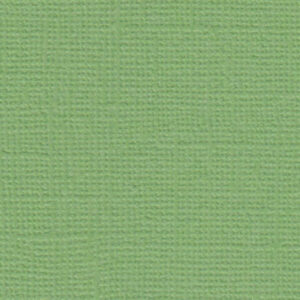 Cartoncino Textura savana