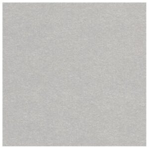 Cartoncino Dust argento metallizzato