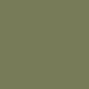 Cartoncino verde militare Stamperia