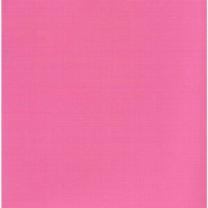 Cartoncino rosa shopping Stamperia