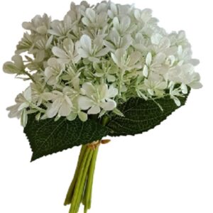 Mazzo silene colore bianco