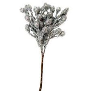 Pistilli bacche argento
