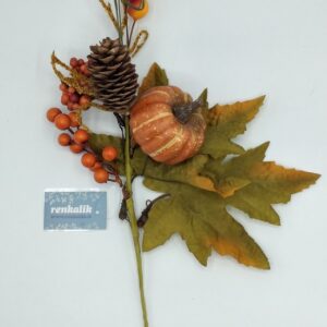 Zucca con pigna