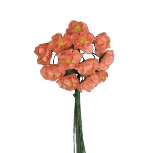 Rosellina arancio 12pz
