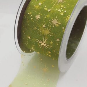 Rotolo 12mt nastro Planetarium verde H 60mm